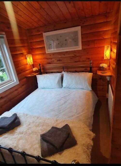 Cosy Cabin In Snowdonia With Views Wi-Fi Dog Friendly & Parking Trawsfynydd Extérieur photo