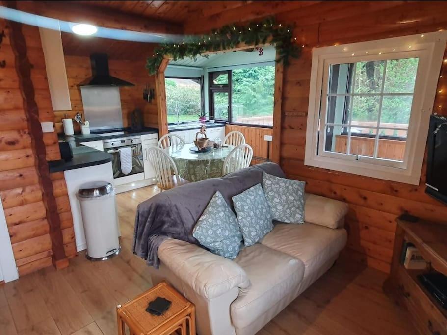 Cosy Cabin In Snowdonia With Views Wi-Fi Dog Friendly & Parking Trawsfynydd Extérieur photo