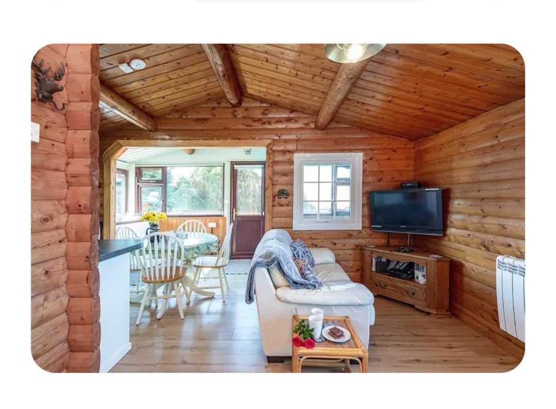 Cosy Cabin In Snowdonia With Views Wi-Fi Dog Friendly & Parking Trawsfynydd Extérieur photo